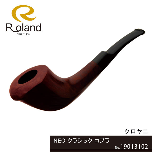 19013102.jpg