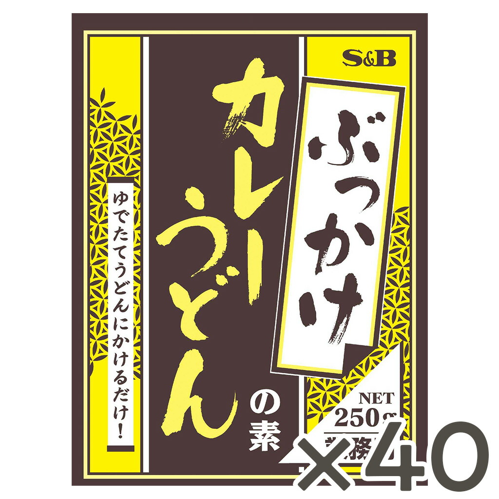 【公式】S&B ぶっかけカレーうどんの素 250g 40個入 業務用 エスビー食品 公式 レトルトカレー 大容量 カレーウドン ケース販売 加工食品 送料無料 インスタントカレー