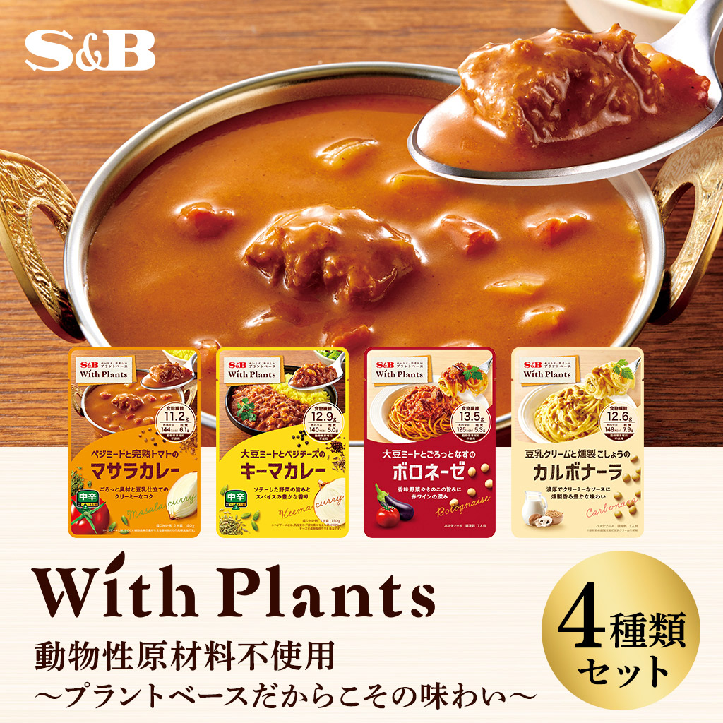 最大76％オフ！ エスニック エスビー食品CRAFT 79.2g STYLE ルー 手作りカレー キーマカレー 簡単432円 ルー、固形ルー