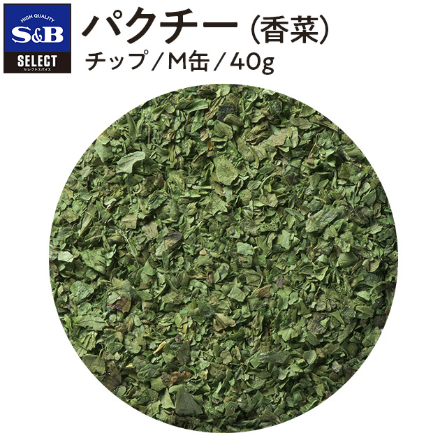 ■パクチー〈香菜〉/チップ/M缶40g [coriander/chinese parsley]【10P08Feb15】