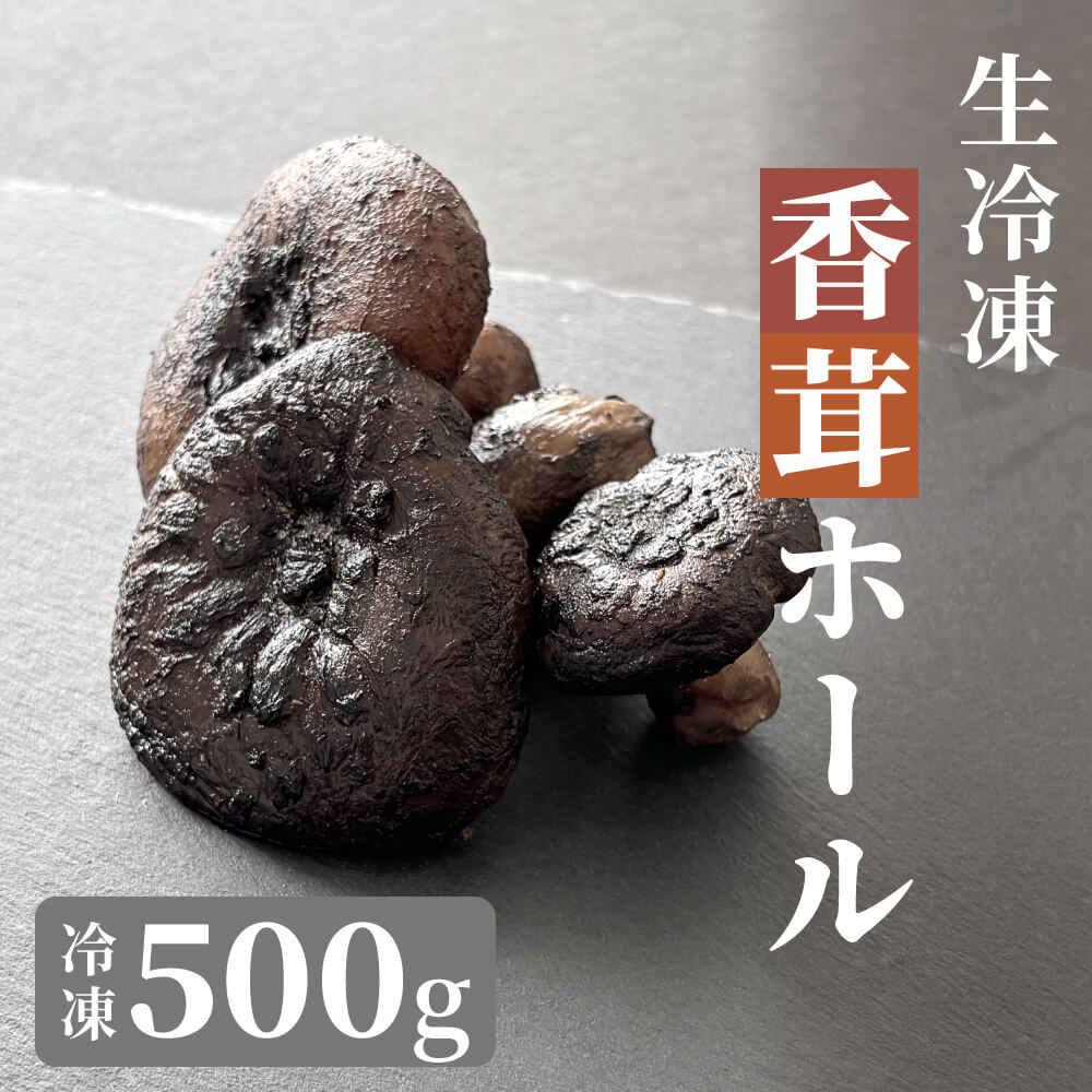 楽天市場】天然きのこ 乾燥 干し 香たけ（シシ茸 こうたけ いの