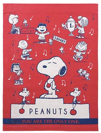 ふわふわ シングル 西川 スヌーピー チャーリー ブラウン 西川 レッド 寝具 ウッドストック 140 190cm 飛騨高山のふとん屋 タオルケット スヌーピー 綿100 Sp1102 32