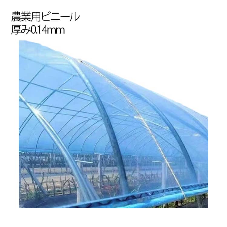 農業用ビニール ビニールハウス 厚み0.14mm 幅6m 長さ10m 屋根用ハウスビニール 屋根ビニール 農業用ハウス 農ビ 農PO 農園 園芸用 農業用 ハウスビニール 家庭菜園 栽培 園芸用品 温室フィルム 農業用フィルム 温室 苗の保温 送料無料