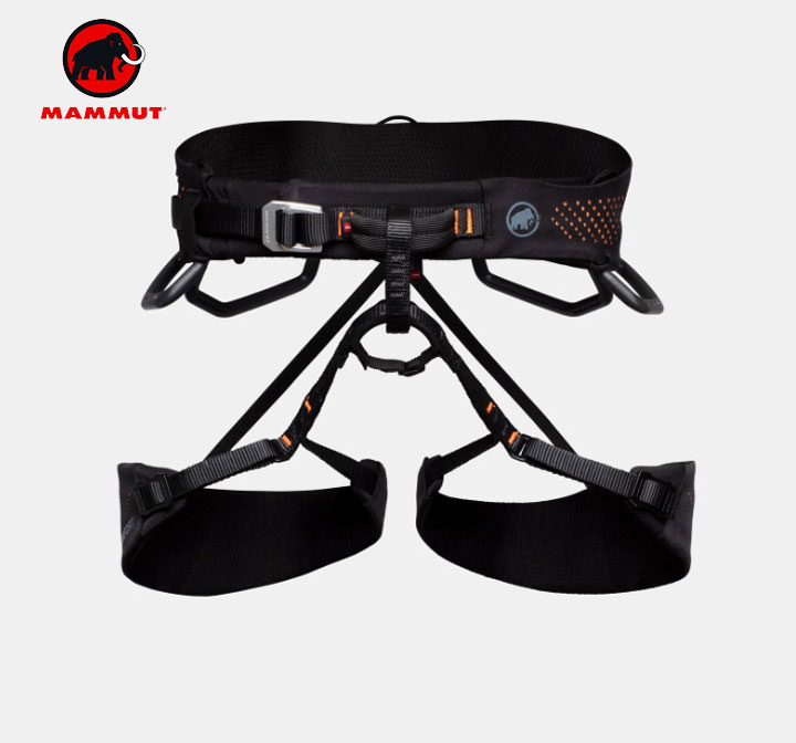 楽天市場】マムート MAMMUT ゼフィール アルティチュード