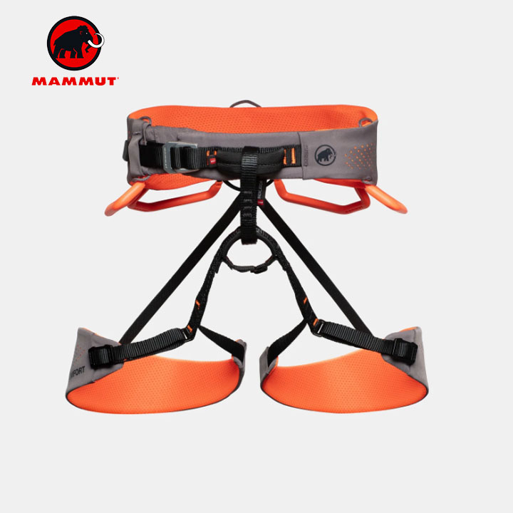 楽天市場】マムート MAMMUT ゼフィール アルティチュード