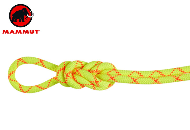 【貨物輸送無料】 Mammut マムート 9.5 Alpine Core Protect Dry Rope 60m 縄索 アウトドア クライミング 山歩き 山登り 長距離 御徒面子 トレッキング 難民キャンプ グランピング 祝い事(外国で定まり品)