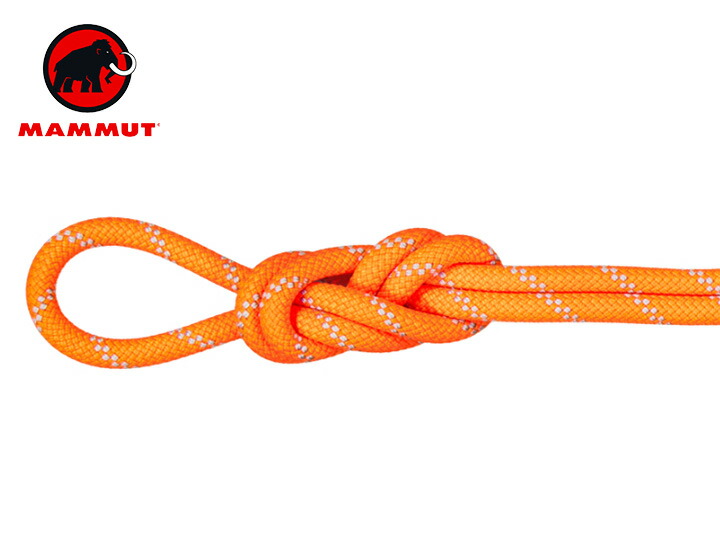 【送料無料】 Mammut マムート 9.5 Alpine Core Protect Dry Rope 60m ロープ アウトドア クライミング ハイキング 登山 長距離 バッグ トレッキング キャンプ グランピング フェス(海外正規品)