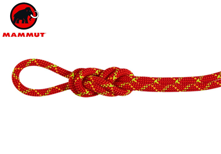 【貨物輸送無料】 Mammut マムート 8.0 Alpine Core Protect Dry Rope 70m 2010-05090 縄索 アウトドア クライミング  山歩き 山登り 長距離 御徒面子 トレッキング 難民キャンプ グランピング 祝い事(外国で定まり品)