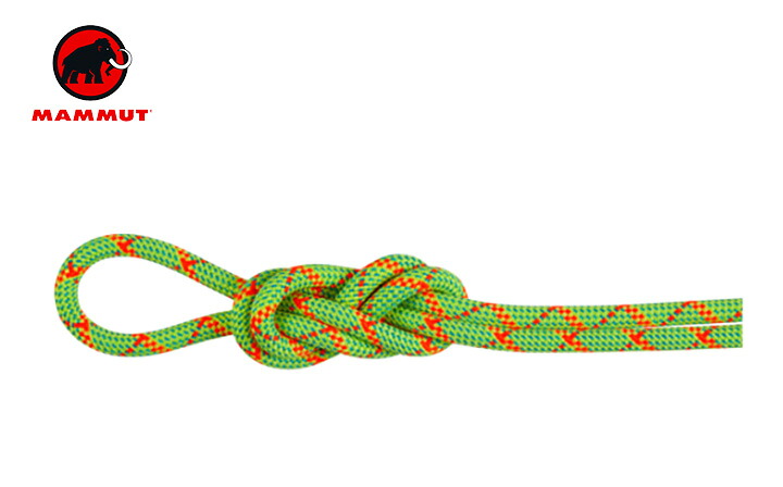 【送料無料】 Mammut マムート 8.0 Alpine Core Protect Dry Rope 30m2010-05010 ロープ アウトドア クライミング ハイキング 登山 長距離 バッグ トレッキング キャンプ グランピング フェス(海外正規品)