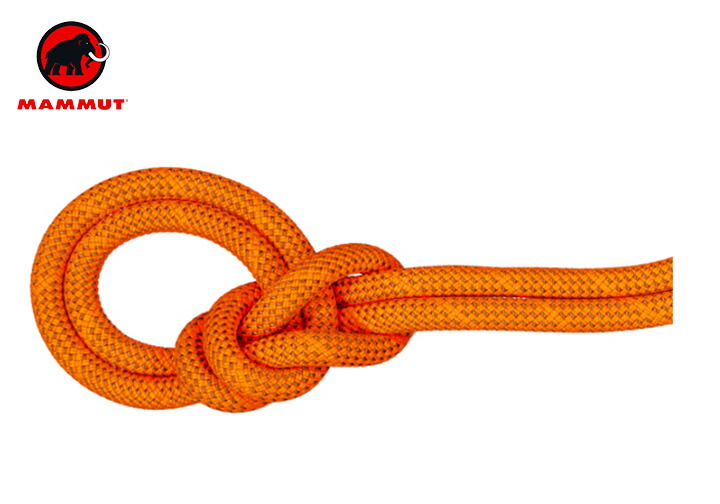 【貨物輸送無料】 Mammut マムート 9.8 Crag Dry Rope 70m 縄索 アウトドア クライミング 山歩き 山登り 長距離 御徒面子 トレッキング 難民キャンプ グランピング 祝い事(外国で定まり品)