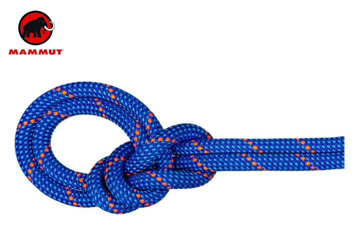 【貨物輸送無料】 Mammut マムート 9.5 Crag Dry Rope 60m 縄索 アウトドア クライミング 山歩き 山登り 長距離 御徒面子 トレッキング 難民キャンプ グランピング 祝い事(外国で定まり品)