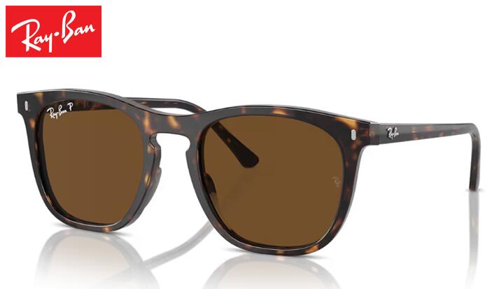 レイバン Rayban RB2210 サングラス
