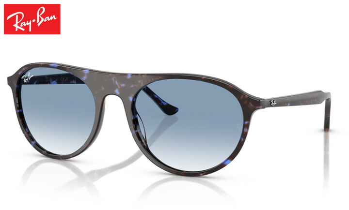 レイバン Rayban RB2215 sunglass サングラス