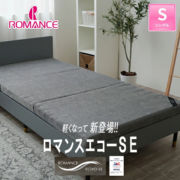 恋愛関係残響音 SE シングル マットレス 三つ折り 恋愛関係小杉 敷き布団 1910-7200 2層社会システム 高手向かい 抗菌 防臭 吸水速乾 洗える側地 リヴァーシブル 捉え所の無い ホンブルグ帽 敷布団 95×195×7糎 約5.6kg 臥榻にも 通気性 19107200 ヘルスケアお墨付き 最新真似形