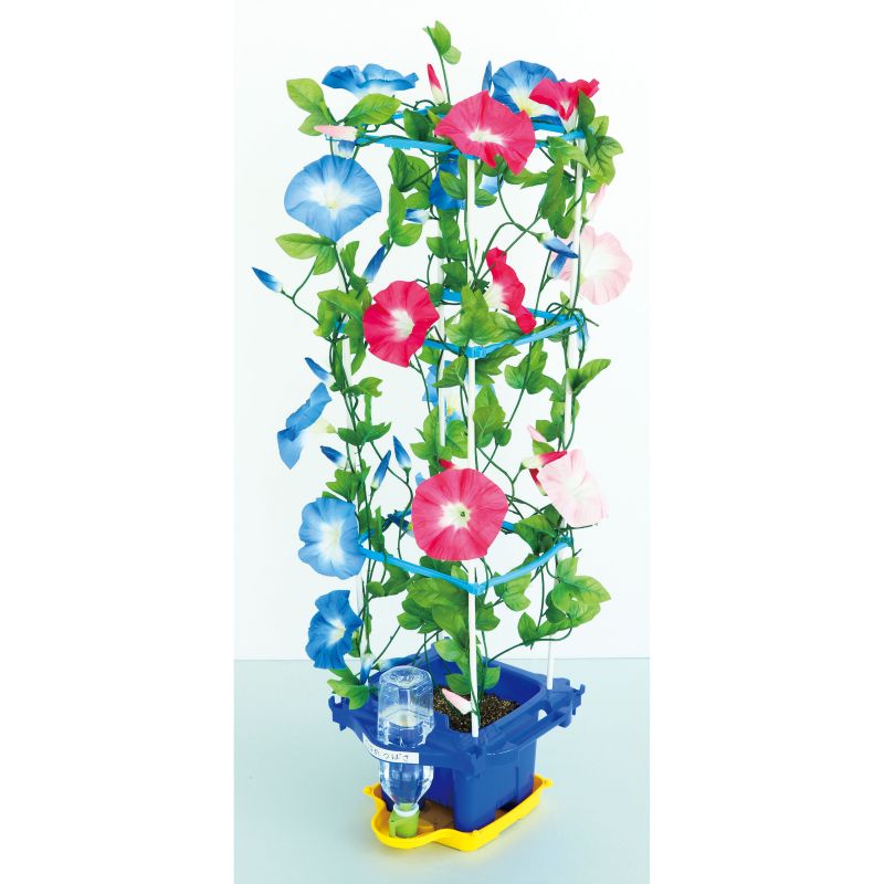 【単品不可オーダー用】朝顔の鉢植えセット　カッティングダイ 超お値打ち 【単品不可オーダー用】朝顔の鉢植えセット