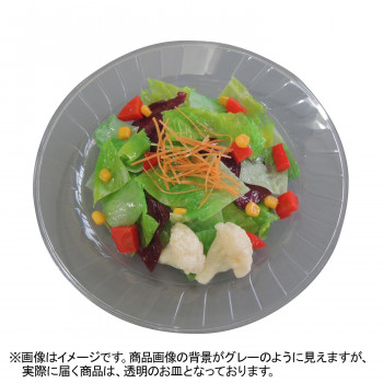 日本職人が作る 食品サンプル サラダ IP-543｜イースクエア
