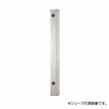 三栄 SANEI ステンレス水栓柱 T800-60X700 [ラッピング不可][代引不可][同梱不可]