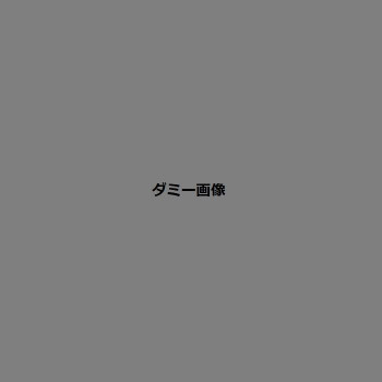 楽天市場】Kayo Horaguchi アートパネル stary night 2 ZKH-52556 ...