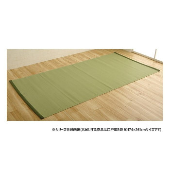 日本製 洗えるカーペット グリーン 江戸間3畳 約174×261cm 1090250121002 [ラッピング不可][代引不可][同梱不可]