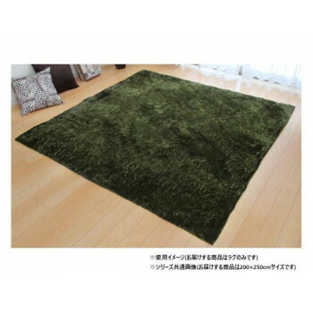 ソフトシャギー調ラグ 「ラルジュ」 3畳 グリーン 約200×250cm 1280200121303 [ラッピング不可][代引不可][同梱不可]