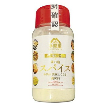 海山社中 串間屋 夢の塩 スパイス 120g&times;24個 [ラッピング不可][代引不可][同梱不可]｜イースクエア