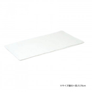 高田ベッド製作所 低反発マット用綿製カバー 幅65×長さ170cm 白 C-1238 [ラッピング不可][代引不可][同梱不可]