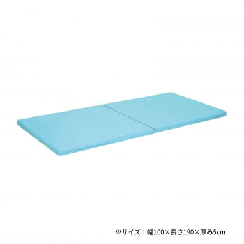 高田ベッド製作所 二つ折れ訓練マット 幅100×長さ190×厚み5cm スカイブルー TB-474 [ラッピング不可][代引不可][同梱不可]