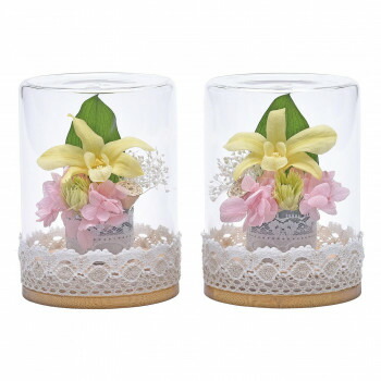 蒼天ボトルフラワー(対入) デンファーレ イエロー KS2402953 57n7008100002 6,988円