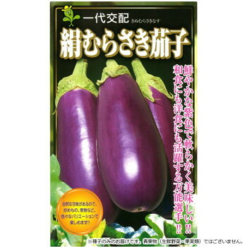 小林種苗 ナス種子 絹むらさき 8149 100粒 [ラッピング不可][代引不可][同梱不可]