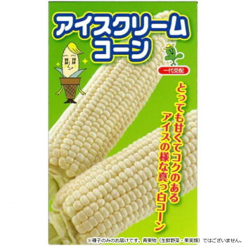 小林種苗 スイートコーン内果皮 クリーム唐きび 8145 2000粒 [ラッピング不可][代引不可][同梱不可]
