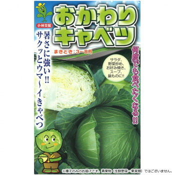 小林種苗 球菜内果皮 おかわり球菜 3675 厚地の外套L5000粒 [ラッピング不可][代引不可][同梱不可]