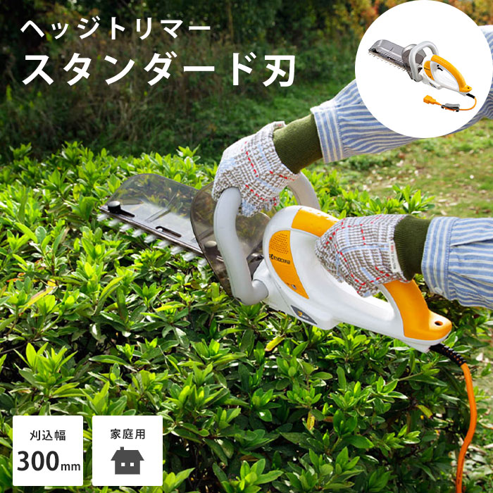 夏のおすすめ科目