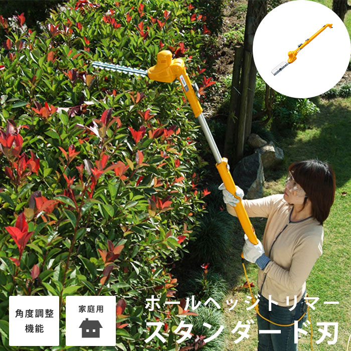 夏のおすすめ科目