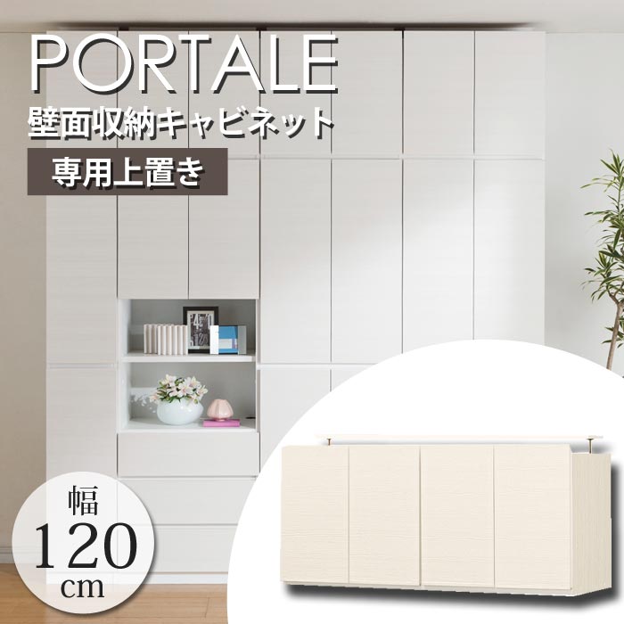 Amazon.co.jp: 白井産業 [日本製] 壁面収納 扉付き壁面