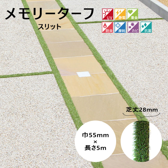 夏のおすすめ科目