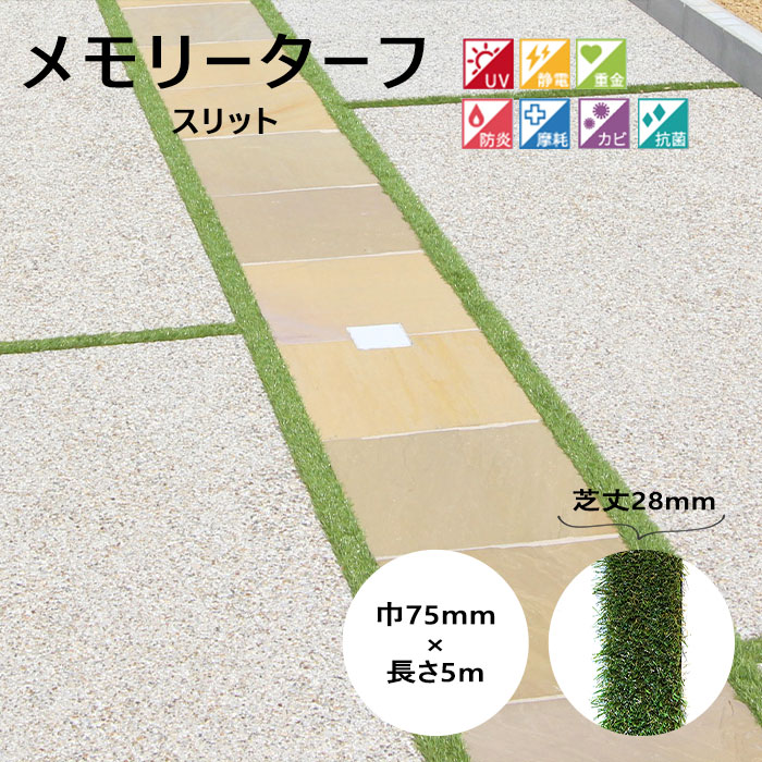 夏のおすすめ科目
