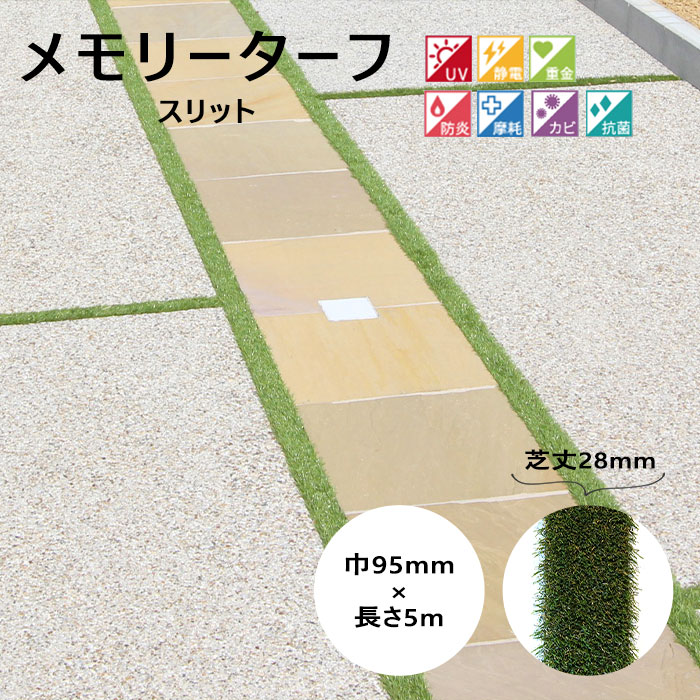 夏のおすすめ科目