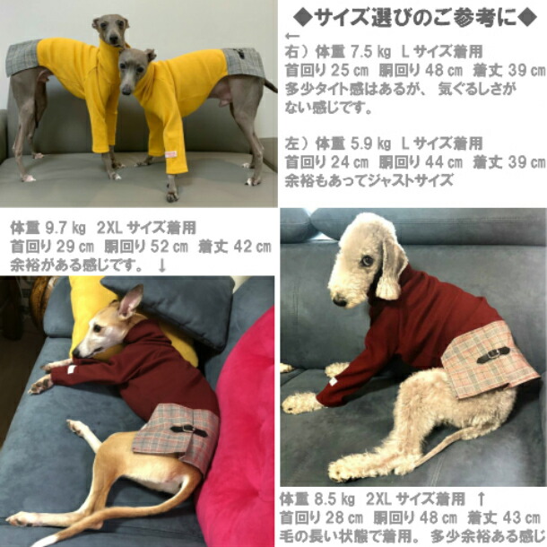 楽天市場 イタグレ 服 Igハイネックグレンチェックワンピース イタリアン グレイハウンド ドッグウェア 犬 服 E Tan U Tan