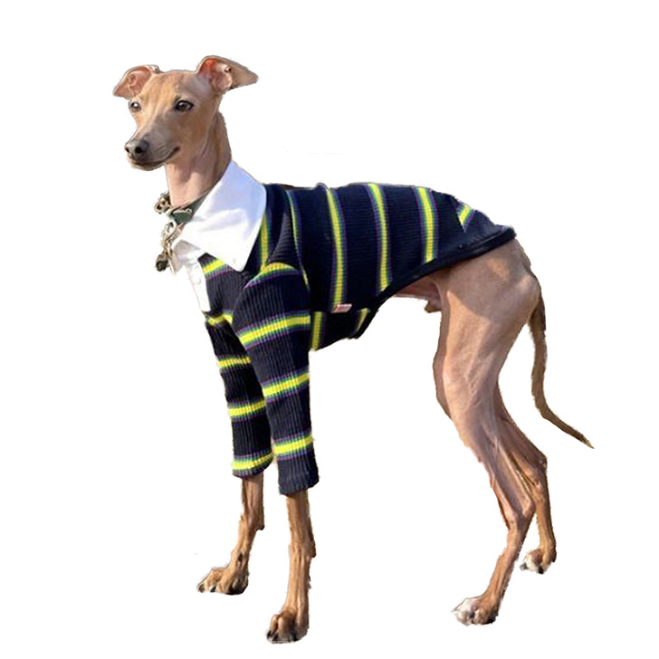 2021高い素材 デカグレ ウィペット 夏 服 IG クールベスト 3XL Ｔシャツ COOL Tee ドッグウェア 犬