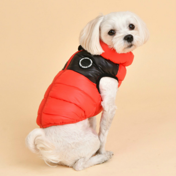【楽天市場】犬 服 ツートンカラー ハイネックダウン風ベスト ウルトラライト 背開き コート Puppia ドッグウェア S M L：E