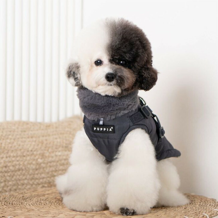 犬服ハーネス一体型防寒ジャンパー背開きタイプDONAVANコートハーネス付きジャケット背中ジッパーPuppiaドッグウェアXXLサイズ