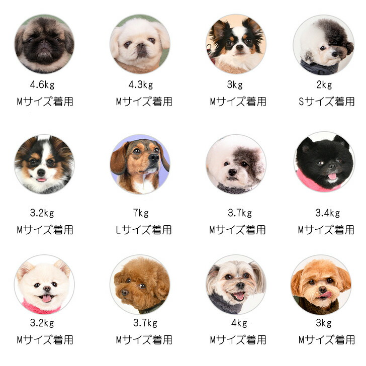 犬服ハーネス一体型防寒ジャンパー背開きタイプDONAVANコートハーネス付きジャケット背中ジッパーPuppiaドッグウェアXXLサイズ