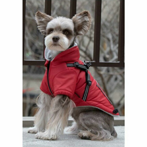 中型犬 服 ハーネス一体型防寒ジャンパー コート ハーネス付き ジャケット Puppia ドッグウェア Xxlサイズ Napierprison Com