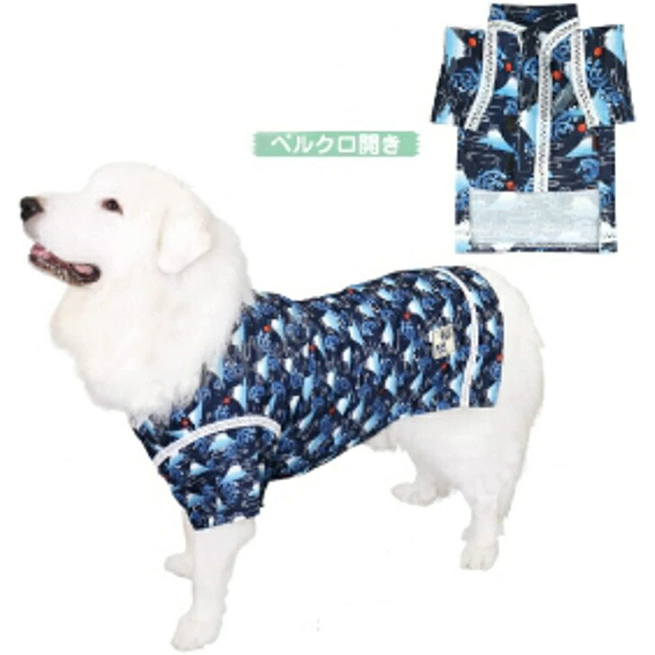 最初の 中型犬 甚平 富士 7号 犬 和服 はんてん ドッグウェア Toyama Nozai Co Jp