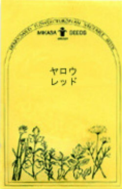 楽天市場 ペインテッドセージ ミックス ハーブの種 ネコポス対応可能 ハーブティー専門店 E ティザーヌ