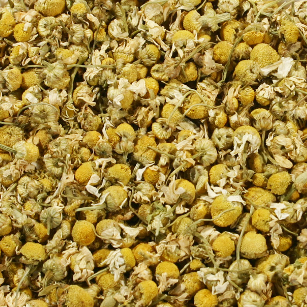 ジャーマンカモミール・フラワー(花部)/1Kg お得なSARANIシングルハーブティー リーフタイプ|ハーブティー専門店 e-ティザーヌ