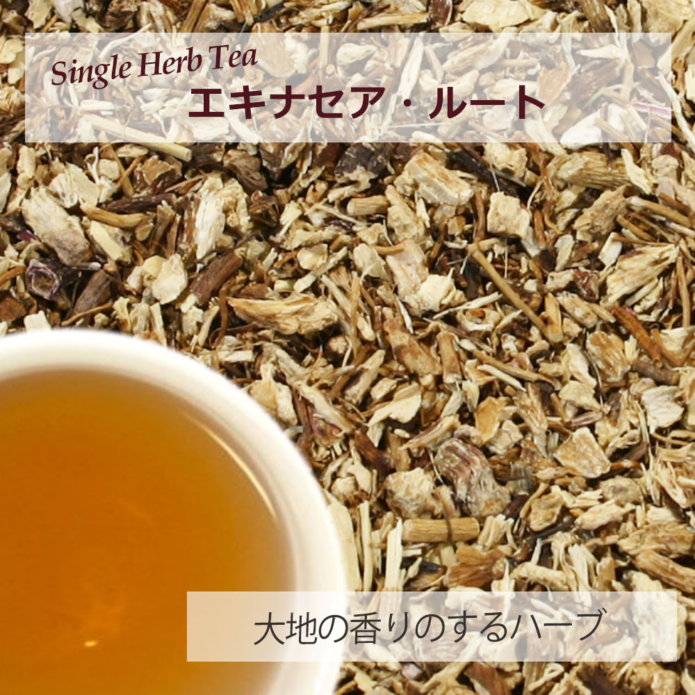 エキナセア・ルート(根部) １５ｇ～ シングルハーブティー 【お試し 無添加 無香料】｜ハーブティー専門店 e-ティザーヌ