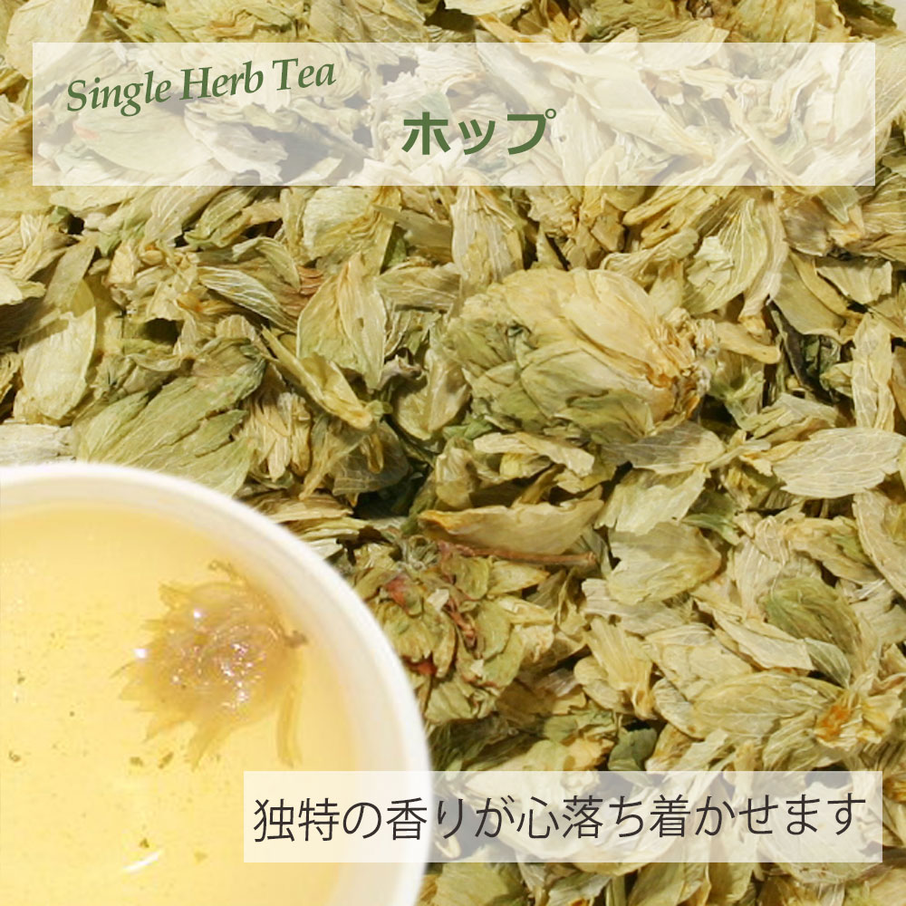 ホップ(毬花部) ８ｇ～ シングルハーブティー 【お試し 無添加 無香料】｜ハーブティー専門店 e-ティザーヌ