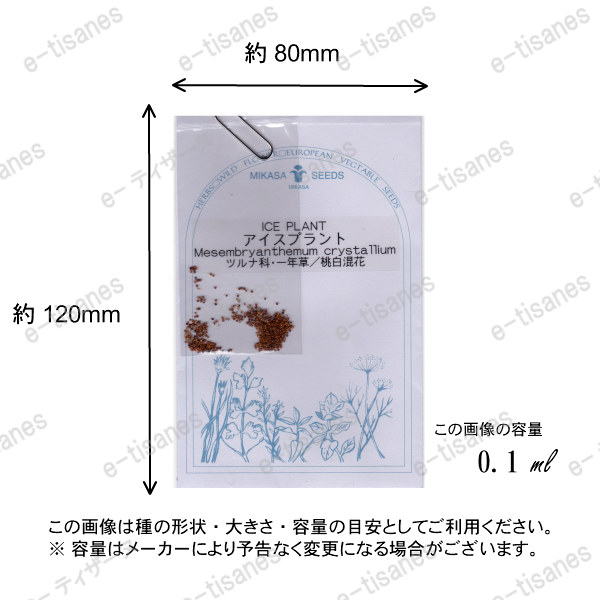 アイスプラント ハーブの種 ネコポス対応可能