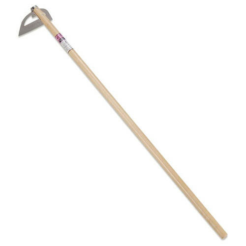 とんとん ig-img-0901.jpg